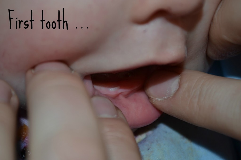 Baby update – teeth, words and crawling!