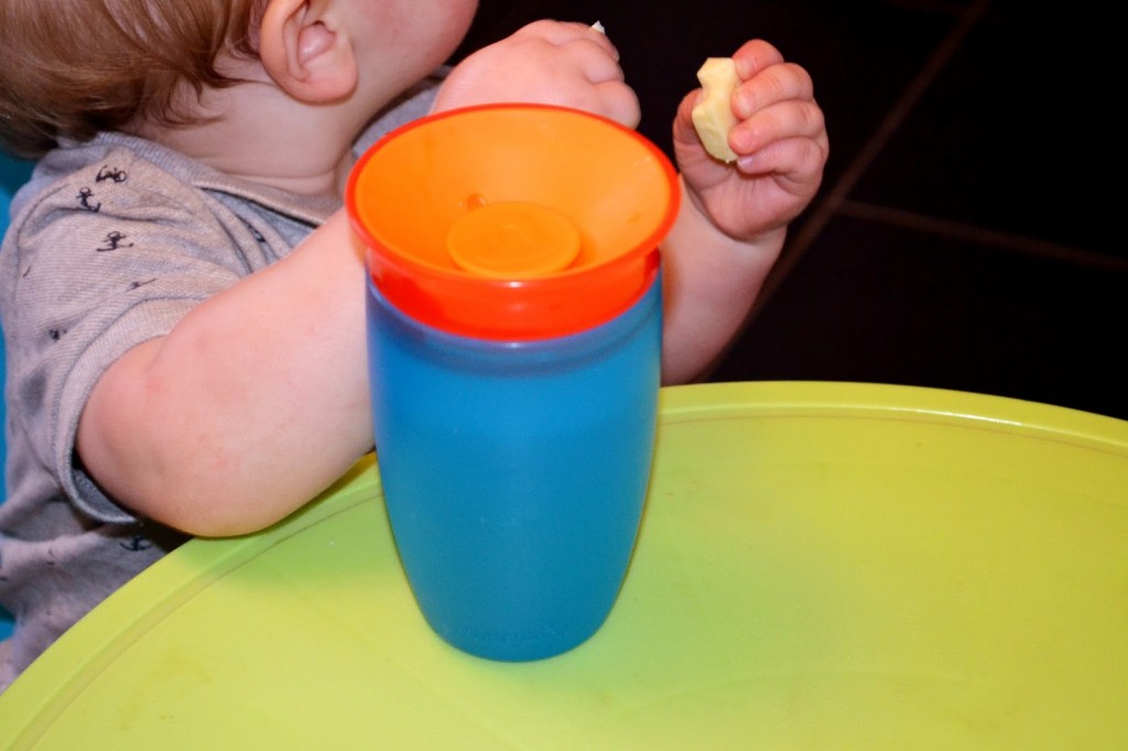 Munchkin Miracle 360° Sippy Cup