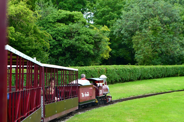 Lightwater Valley express train