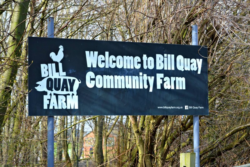 Bill Quay Farm, Gateshead review