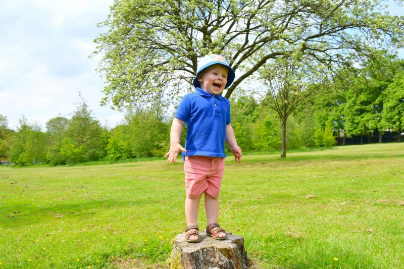 Tree-trunk-outdoors