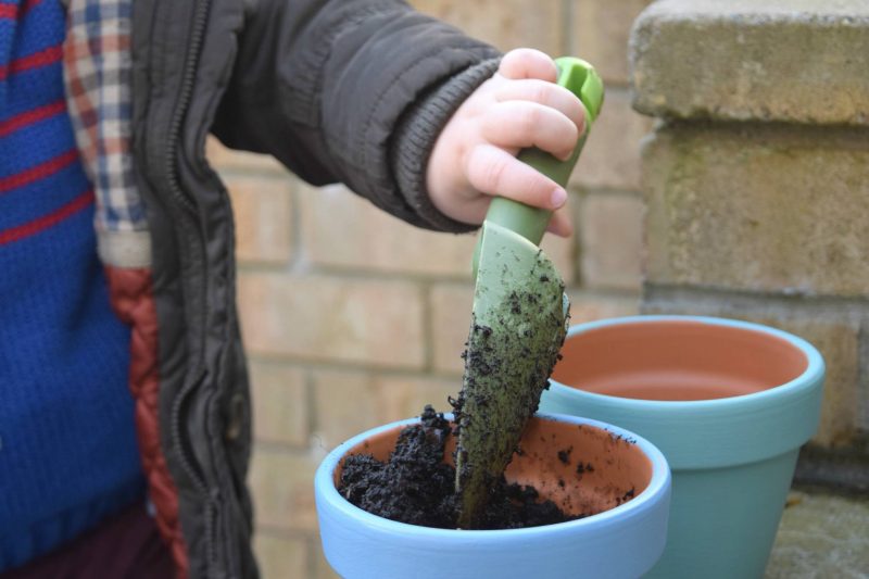 Planting-flowers-garden