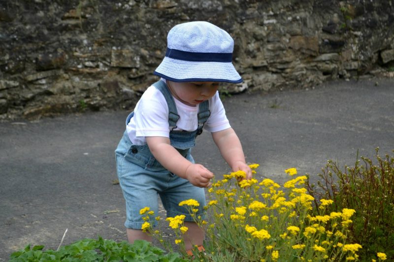 toddler-garden