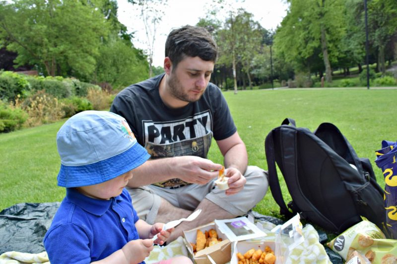 walsall-arboretum-picnic