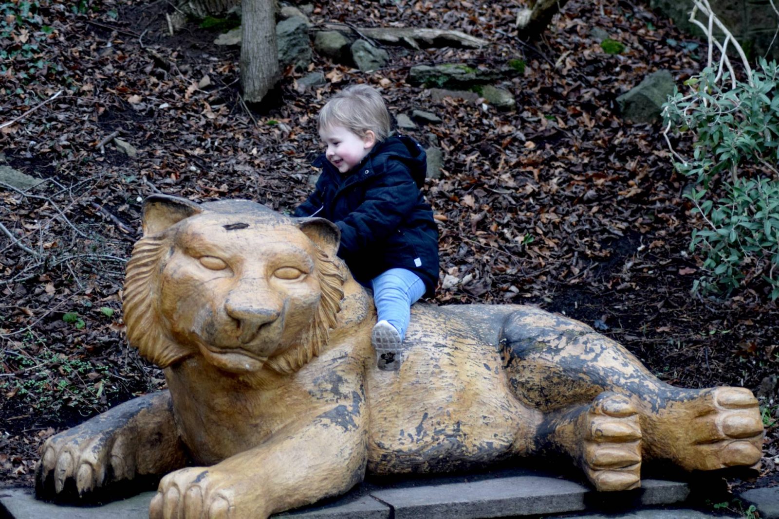 Edinburgh-Zoo-riding-lion