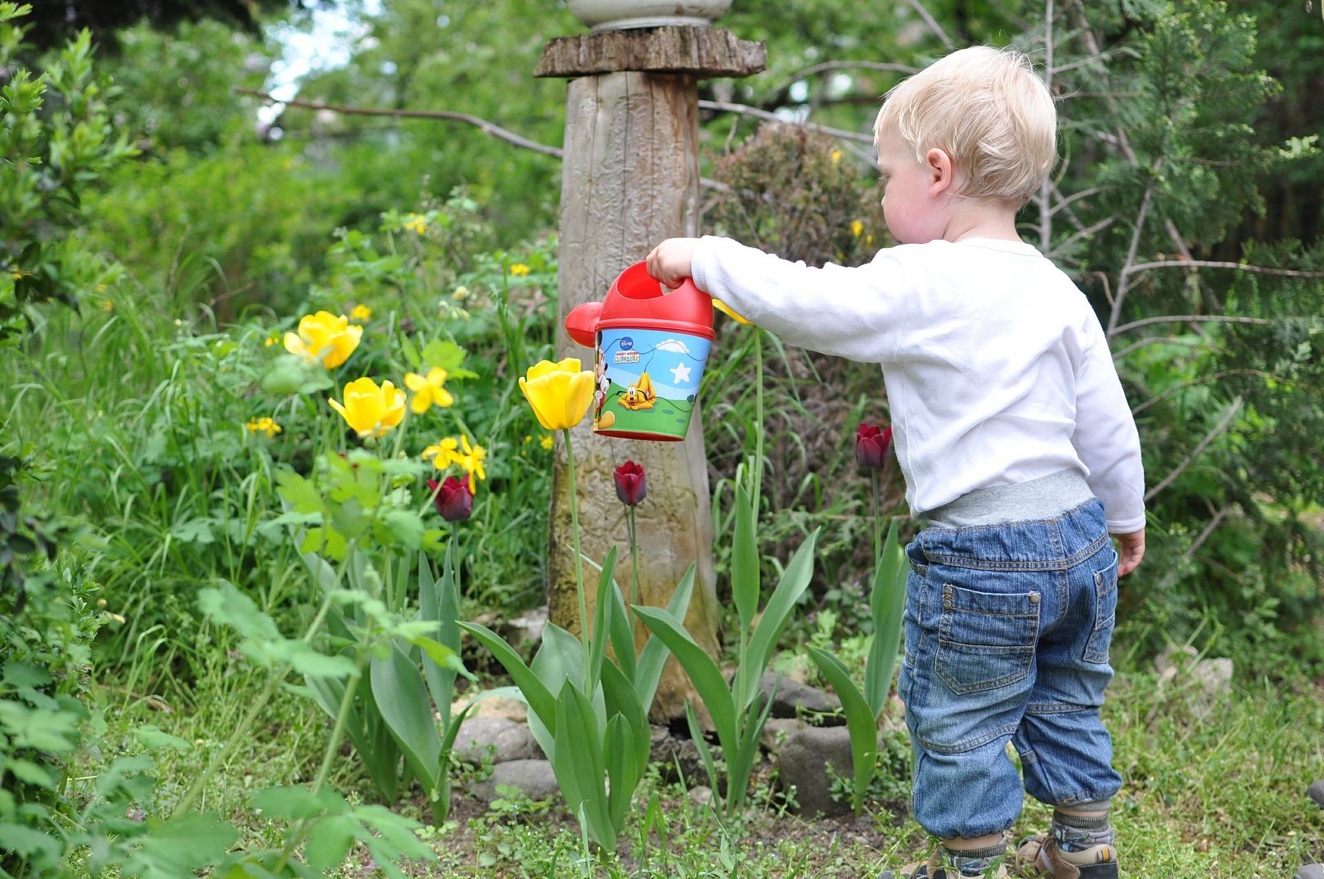 ways-to-keep-your-child-safe-in-the-garden-rock-and-roll-pussycat