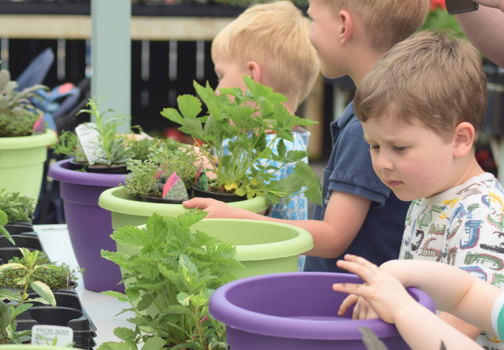 Little Growers Herb Planting Workshop at Cowell’s Garden Centre ...