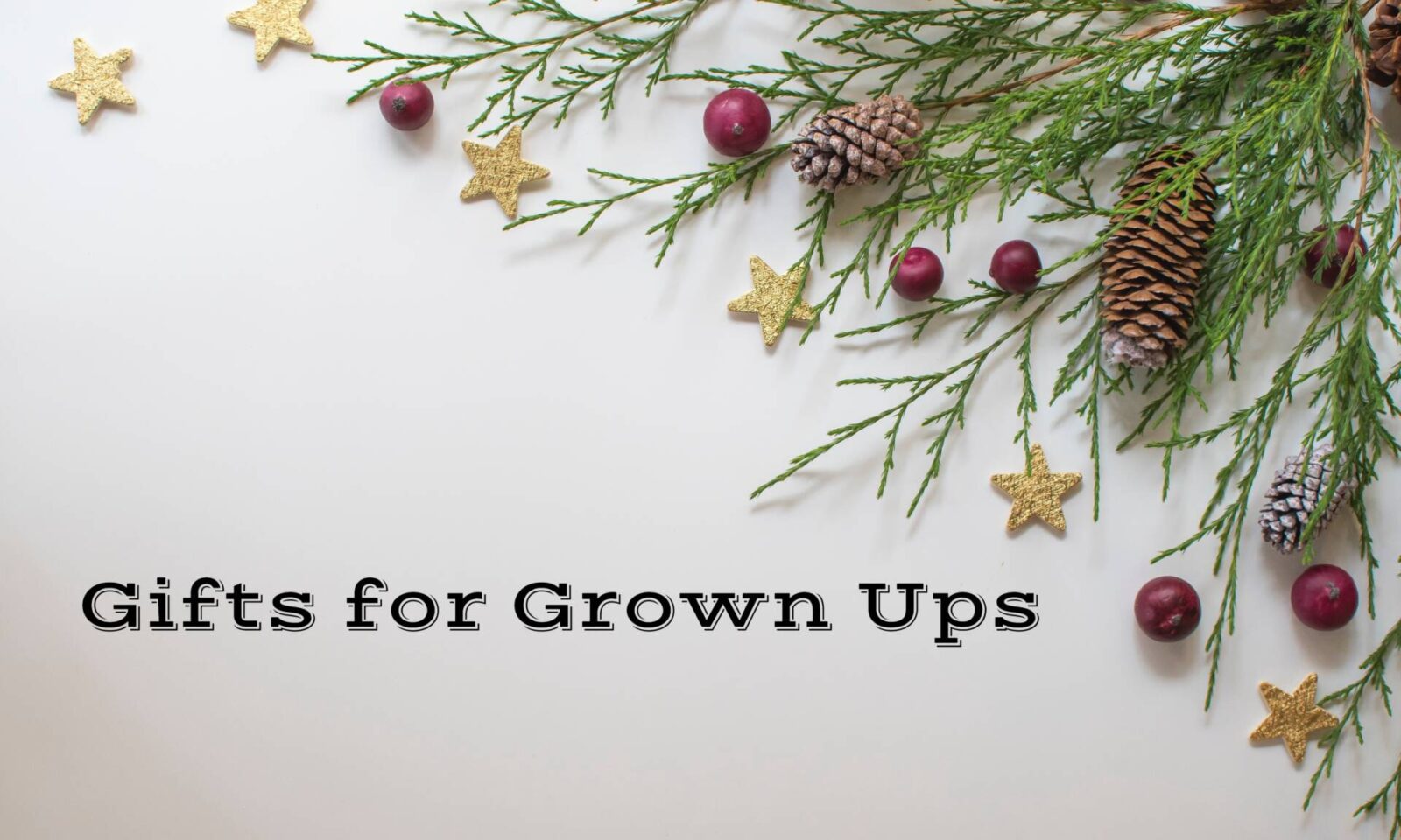 Gift Ideas for Grown Ups